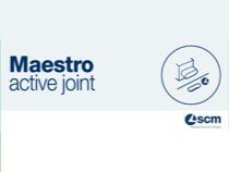 Программное обеспечение Maestro Active Joint Balestrini Pico TN, производитель SCM Group Италия